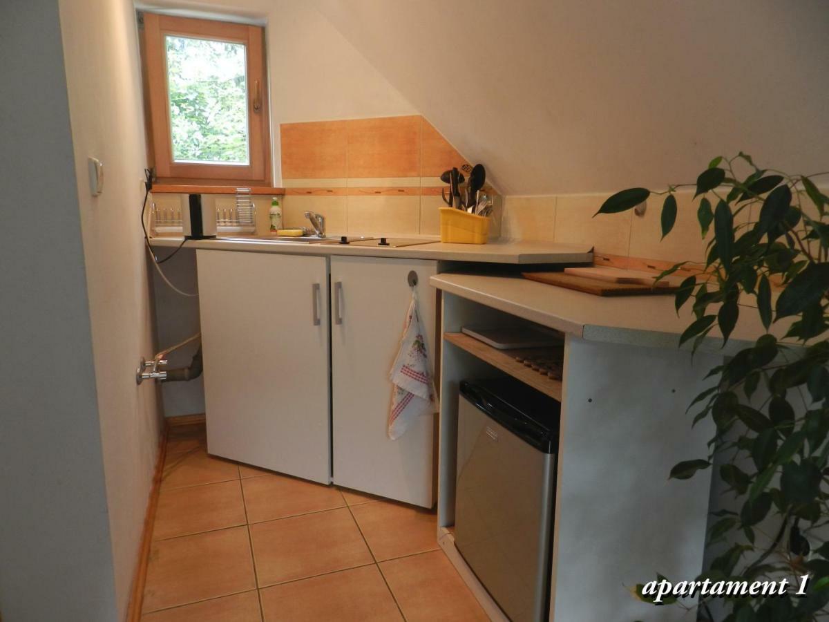 Apartamencik Z Widokiem Na Giewont Zakopane Extérieur photo